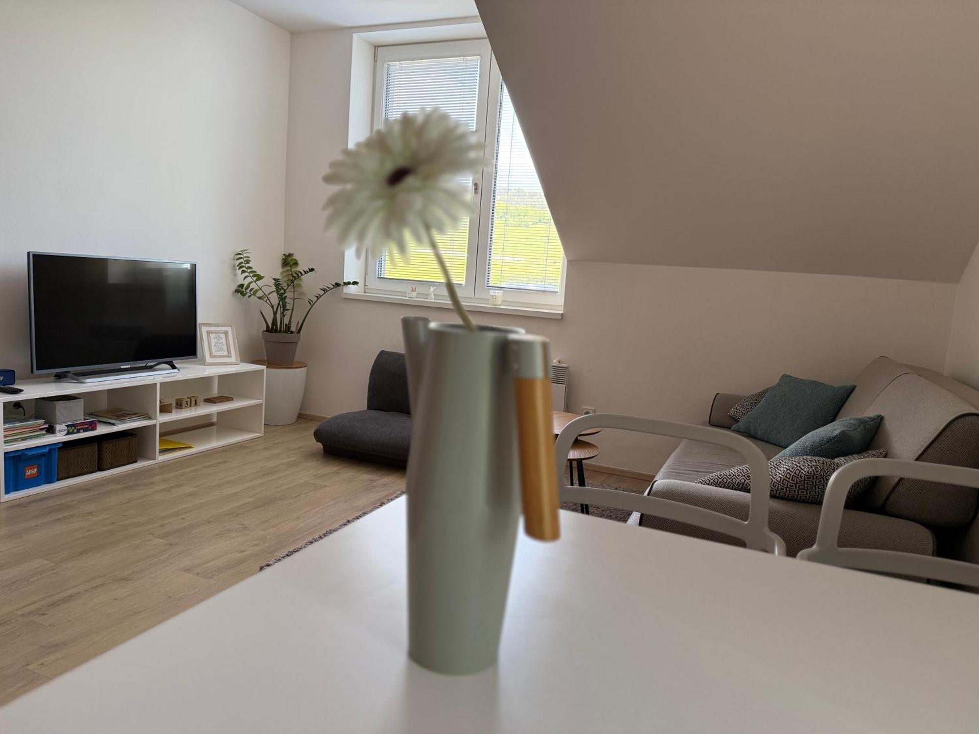 Apartman 2+Kk Долни-Морава Экстерьер фото